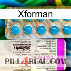 Xforman new07